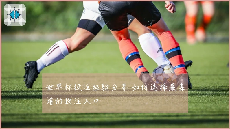 世界杯投注经验分享 如何选择最靠谱的投注入口