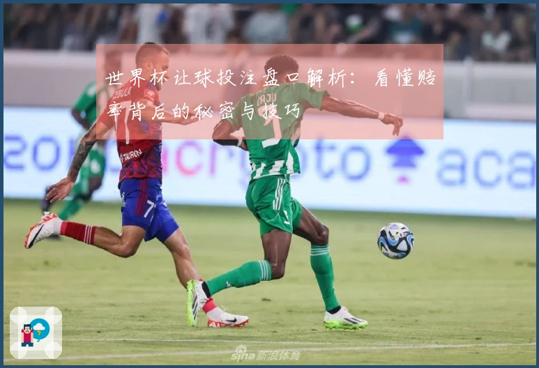 世界杯让球投注盘口解析：看懂赔率背后的秘密与技巧