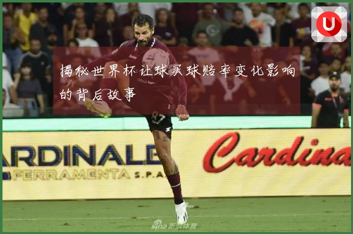 揭秘世界杯让球买球赔率变化影响的背后故事