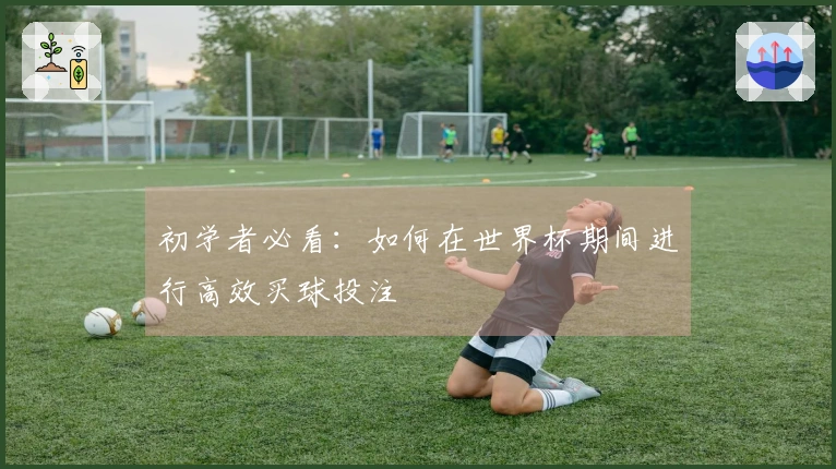 初学者必看：如何在世界杯期间进行高效买球投注