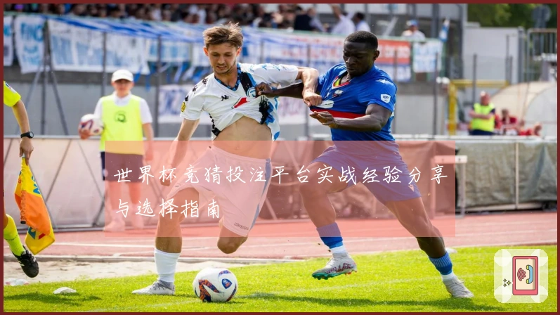 世界杯竞猜投注平台实战经验分享与选择指南