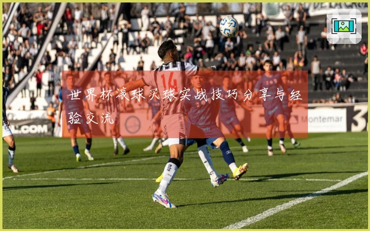 世界杯滚球买球实战技巧分享与经验交流