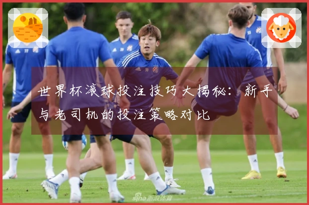 世界杯滚球投注技巧大揭秘：新手与老司机的投注策略对比