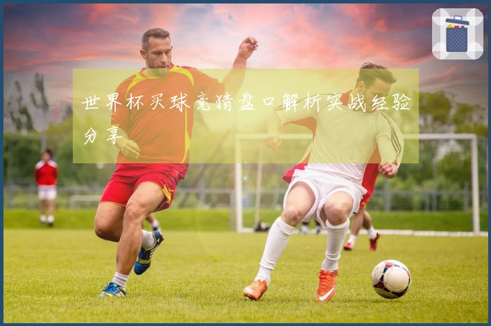 世界杯买球竞猜盘口解析实战经验分享