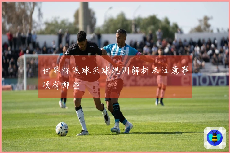 世界杯滚球买球规则解析及注意事项有哪些