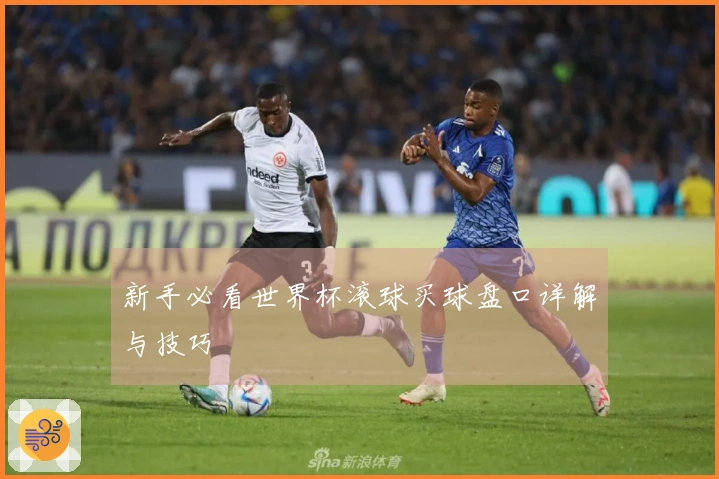 新手必看世界杯滚球买球盘口详解与技巧