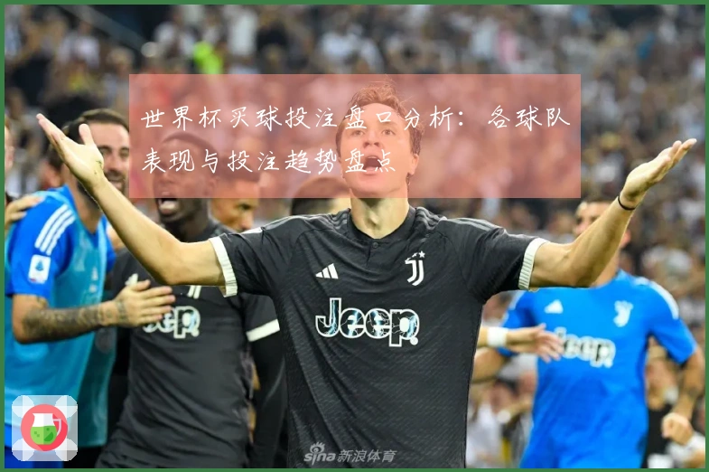 世界杯买球投注盘口分析：各球队表现与投注趋势盘点