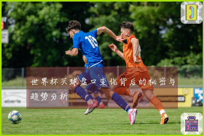 世界杯买球盘口变化背后的秘密与趋势分析
