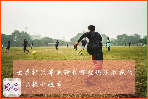 世界杯买球竞猜有哪些玩法和技巧可以提升胜率