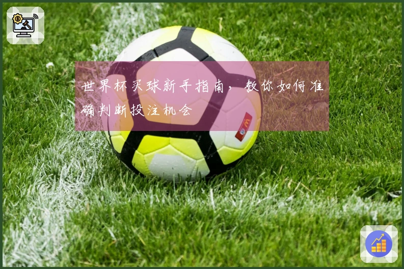 世界杯买球新手指南，教你如何准确判断投注机会
