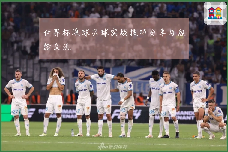 世界杯滚球买球实战技巧分享与经验交流