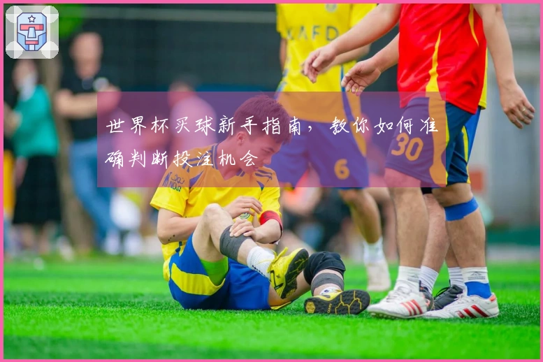 世界杯买球新手指南，教你如何准确判断投注机会