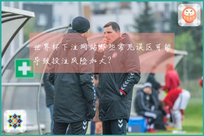 世界杯下注网站哪些常见误区可能导致投注风险加大？