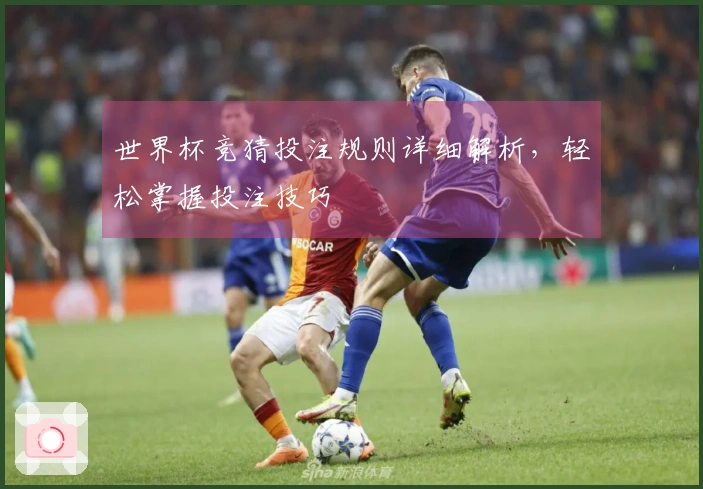 世界杯竞猜投注规则详细解析，轻松掌握投注技巧